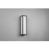 Trio Fuerte Applique da esterno LED Antracite, 1-Luce