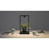 Artemide Curiosity Lampada da tavolo LED Marrone, Nero, 1-Luce