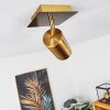 Zuoz Plafoniera Ottone antico, 1-Luce