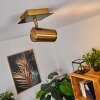 Zuoz Plafoniera Ottone antico, 1-Luce