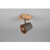 Trio-Leuchten Bell Applique Marrone scuro, Nichel opaco, 1-Luce