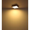 Globo DORO Plafoniera LED Aspetto del legno, Nero, 1-Luce, Telecomando
