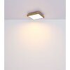 Globo DORO Plafoniera LED Aspetto del legno, Nero, 1-Luce, Telecomando