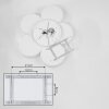 Purus Plafoniera LED Bianco, 1-Luce
