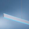 Paul-Neuhaus Q-ADRIANA Lampada a Sospensione LED Alluminio, 2-Luci, Telecomando