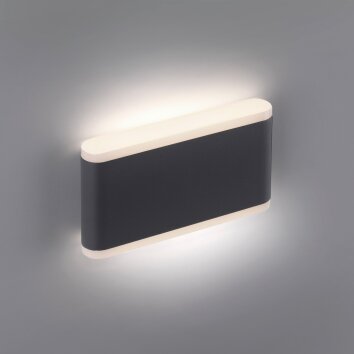 Paul-Neuhaus ELSA Applique da esterno LED Antracite, 2-Luci