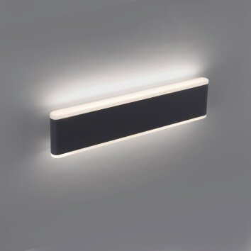 Paul-Neuhaus ELSA Applique da esterno LED Antracite, 2-Luci