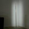 Leuchten-Direkt HENRY Lampada da terra LED Acciaio satinato, 1-Luce, Telecomando