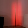 Leuchten-Direkt HENRY Lampada da terra LED Acciaio satinato, 1-Luce, Telecomando