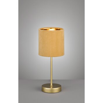 Fischer-Honsel Aura Lampada da tavolo Oro, 1-Luce