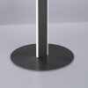Paul-Neuhaus Q-VITO Lampada da terra LED Antracite, 3-Luci, Telecomando