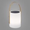 FHL-easy Bari Lampada da tavolo LED Bianco, 1-Luce, Telecomando, Cambia colore