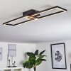 Hyacinthe Plafoniera LED Cromo, Nero, 1-Luce