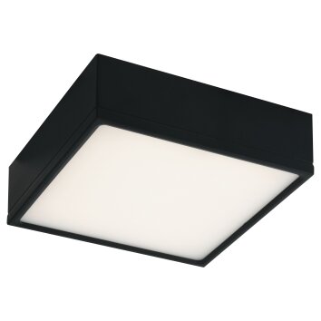 Luce-Design Klio Plafoniera LED Nero, 1-Luce