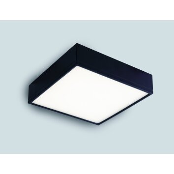 Luce-Design Klio Plafoniera LED Nero, 1-Luce