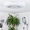 Page Plafoniera LED, 2-Luci, Telecomando, Cambia colore
