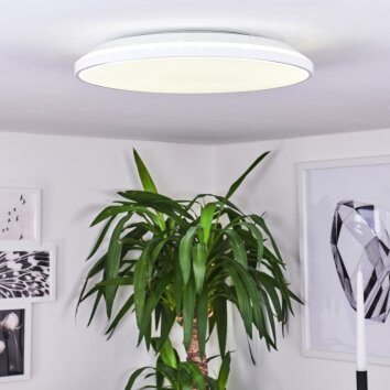 Bergell Plafoniera LED Bianco, 1-Luce