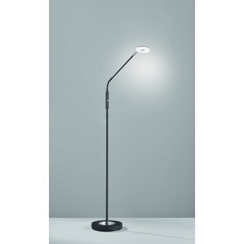 Fischer-Honsel Dent Lampada da terra LED Nero, 1-Luce