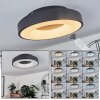 Sachseln Plafoniera LED Nero, 1-Luce