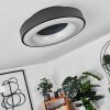 Sachseln Plafoniera LED Nero, 1-Luce