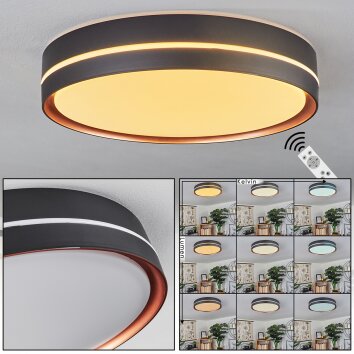 Cachalot Plafoniera LED Ramato, Nero, 1-Luce, Telecomando, Cambia colore
