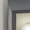 Trio GARONNE Applique Antracite, 1-Luce