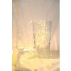 Globo Catenaria luminosa LED Argento, 20-Luci