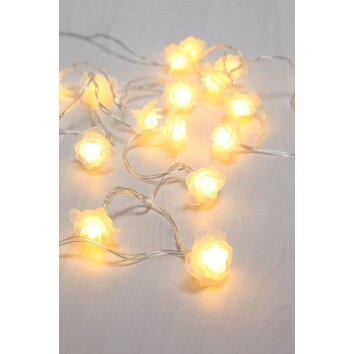 Globo Catenaria luminosa LED Bianco, 20-Luci