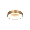 Steinhauer Ringlede Plafoniera Oro, 1-Luce