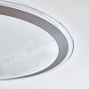 Gorgonta Plafoniera LED Bianco, 2-Luci, Telecomando, Cambia colore