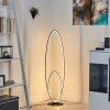 Harpeth Lampada da terra LED Nero, 1-Luce