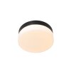 Steinhauer Ikaro Plafoniera LED Nero, 1-Luce