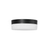 Steinhauer Ikaro Plafoniera LED Nero, 1-Luce