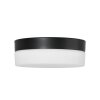 Steinhauer Ikaro Plafoniera LED Nero, 1-Luce