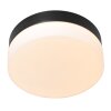 Steinhauer Ikaro Plafoniera LED Nero, 1-Luce