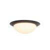 Steinhauer Ikaro Plafoniera LED Nero, 1-Luce