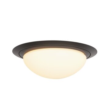 Steinhauer Ikaro Plafoniera LED Nero, 1-Luce