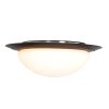 Steinhauer Ikaro Plafoniera LED Nero, 1-Luce