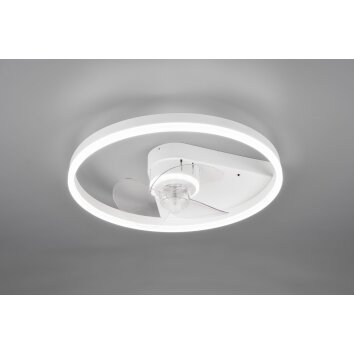 Reality Borgholm ventilatore da soffitto LED Bianco, 1-Luce, Telecomando