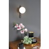 Luce Design PLUTO Applique Nero, 1-Luce