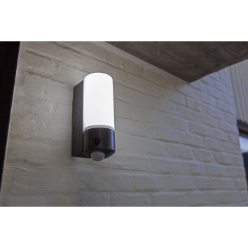 Lutec POLLUX Applique da esterno LED Antracite, 1-Luce, Sensori di movimento