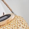 Conneaut Lampada solare LED Marrone, Legno chiaro, 1-Luce