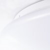 Brilliant Farly Plafoniera da esterno Bianco, 1-Luce