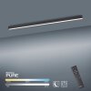 Paul Neuhaus PURE-LINES Plafoniera LED Antracite, 1-Luce, Telecomando