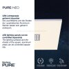 Paul Neuhaus PURE-NEO Plafoniera LED Alluminio, 5-Luci, Telecomando