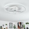 Oleiro ventilatore da soffitto LED Grigio, Bianco, 1-Luce, Telecomando