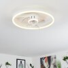 Oleiro ventilatore da soffitto LED Grigio, Bianco, 1-Luce, Telecomando