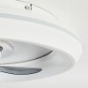 Tirkkala ventilatore da soffitto LED Bianco, 1-Luce