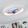Tirkkala ventilatore da soffitto LED Bianco, 1-Luce