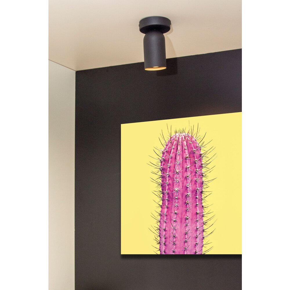 Lucide PUNCH Applique Nero, 1-Luce main product photo